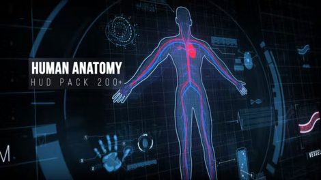 پروژه افترافکت انیمیشن صفحه نمایش آناتومی